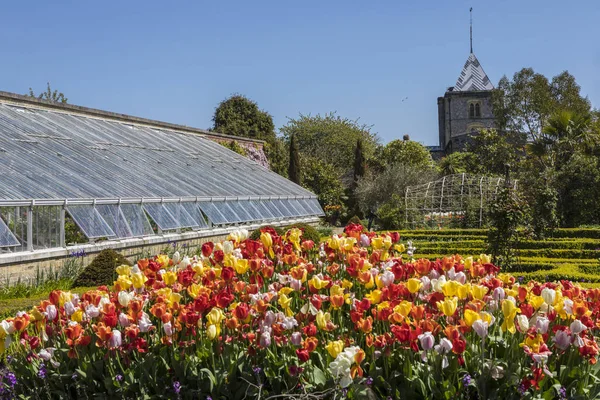 Arundel Reino Unido Mayo 2018 Una Vista Los Hermosos Tulipanes — Foto de Stock