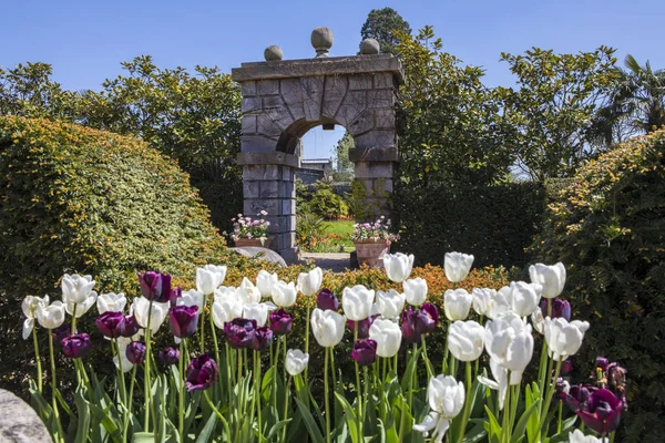 Arundel Mai 2018 Ein Blick Die Wunderschönen Gärten Des Arundel — Stockfoto