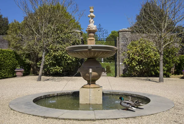 Arundel May 5Th 2018 Water Feature Beautiful Gardens Arundel Castle — Stock Photo, Image