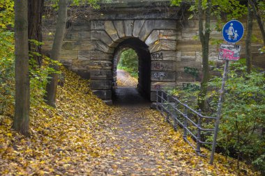 Nuremberg 'deki Peglitz nehri boyunca bir patika.