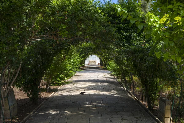 San anton gärten in malta — Stockfoto
