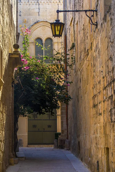 Pretty Street in Mdina — Stock Photo, Image