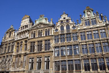 Brüksel 'deki Grand Place' deki binalar