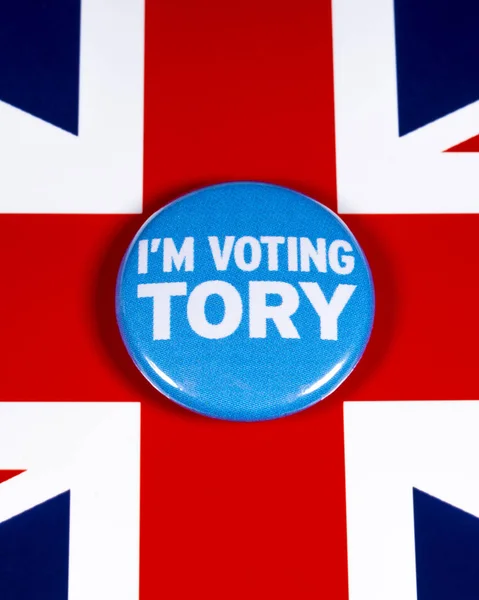 Voy a votar por Tory. — Foto de Stock