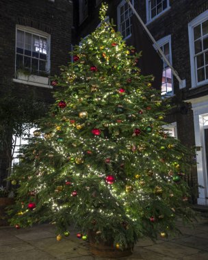 Londra 'daki Pickering Place' de Noel Ağacı