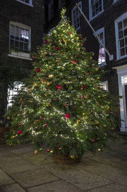 Londra 'daki Pickering Place' de Noel Ağacı