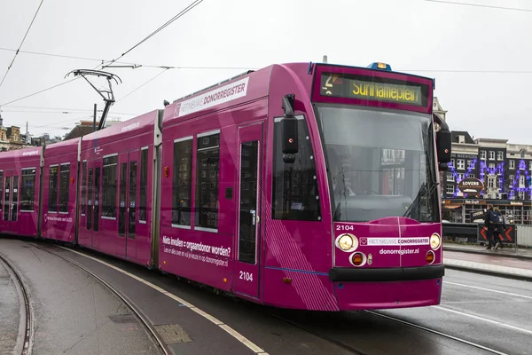 Pink Tram in Amsterdam — 스톡 사진