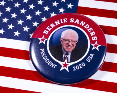 Bernie Sanders Kampanya Rozeti ve Usa Bayrağı