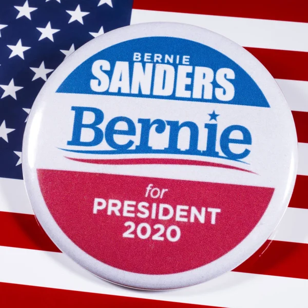 Bernie Sanders Campaign Badge and USA Flag