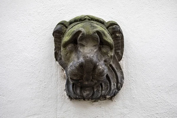 Una Las Cabezas Feas Casco Antiguo Colonia Koln Alemania Edad —  Fotos de Stock