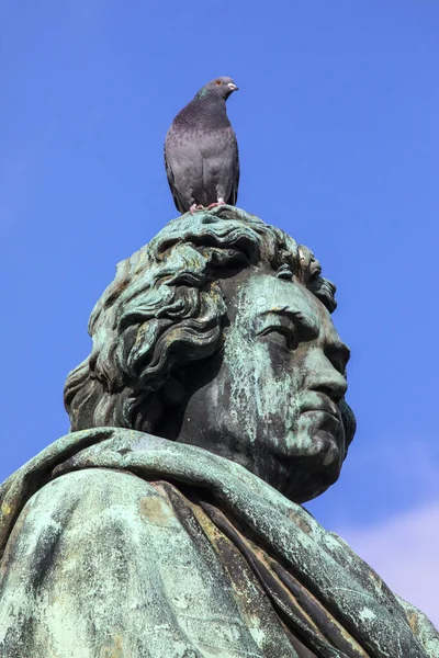 Pigeon Sits Statue Famous Composer Ludwig Van Beethoven Located Munsterplatz — Stock Photo, Image