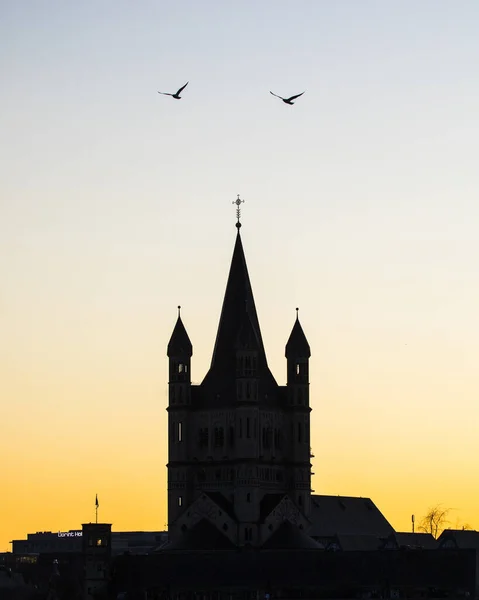 Colônia Alemanha Fevereiro 2020 Silhueta Torre Grande Igreja São Martinho — Fotografia de Stock