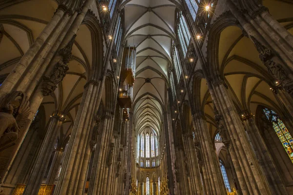 Colônia Alemanha Fevereiro 2020 Uma Vista Para Dentro Impressionante Catedral — Fotografia de Stock