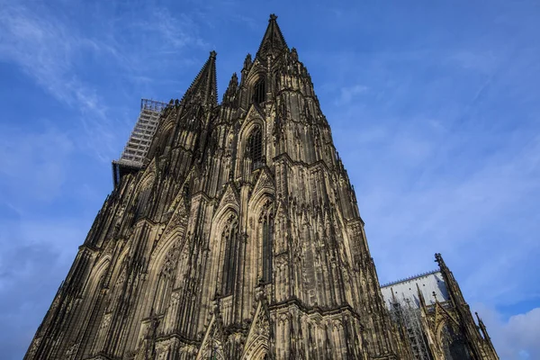 Magnífico Exterior Catedral Colônia Kolner Dom Cidade Colônia Alemanha — Fotografia de Stock