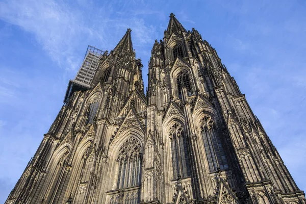 Nádherný Exteriér Kolínské Katedrály Neboli Kolner Dom Městě Kolín Nad — Stock fotografie