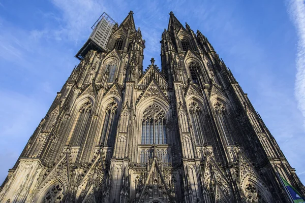 Das Prächtige Äußere Des Kölner Doms Der Stadt Köln Deutschland — Stockfoto