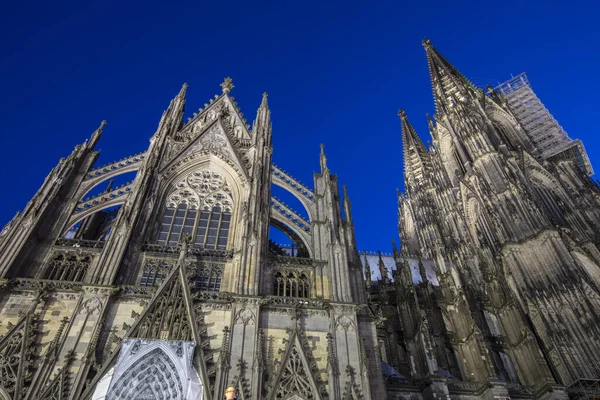 Noční Pohled Kolínskou Katedrálu Známou Také Jako Kolner Dom Městě — Stock fotografie
