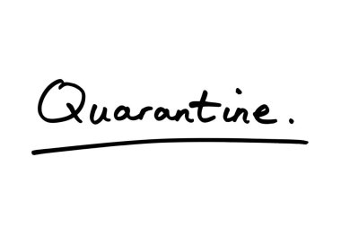 Beyaz arkaplanda el yazısıyla karantina.