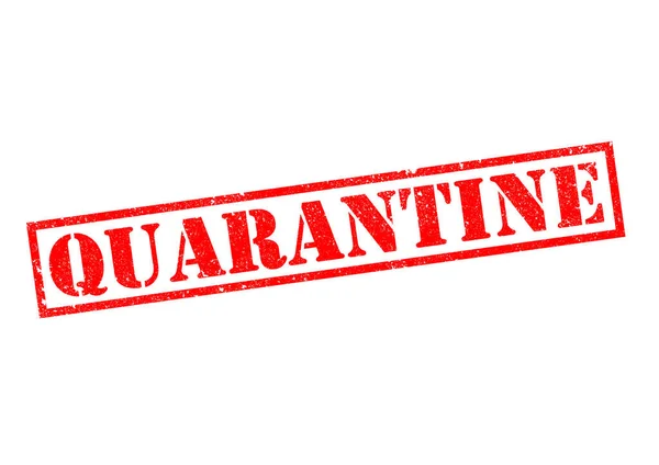 Quarantine Red Rubber Stamp White Background — Stock Photo, Image