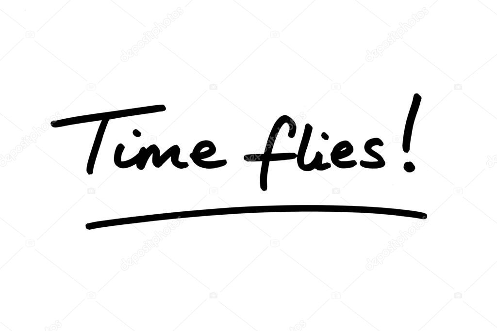 Time Flies! handwritten on a white background.
