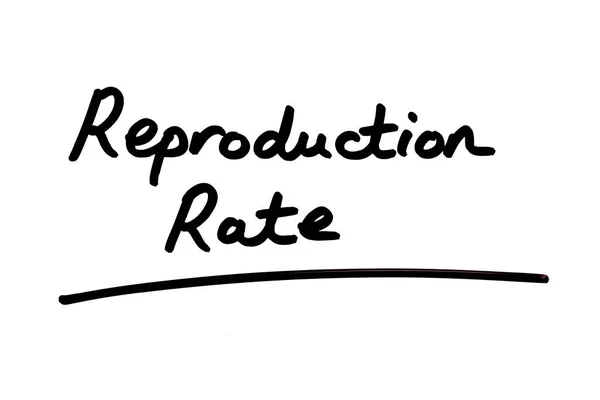 Reproduction Rate Χειρόγραφο Λευκό Φόντο Ποσοστό Αναπαραγωγής Είναι Ποσοστό Μετάδοσης — Φωτογραφία Αρχείου