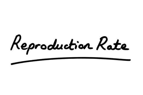 Reproduction Rate Χειρόγραφο Λευκό Φόντο Ποσοστό Αναπαραγωγής Είναι Ποσοστό Μετάδοσης — Φωτογραφία Αρχείου