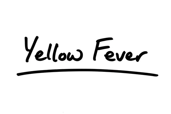 Yellow Fever Handwritten White Background — Stock Photo, Image