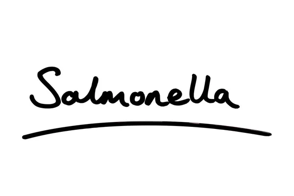 Salmonella Manuscrite Sur Fond Blanc — Photo