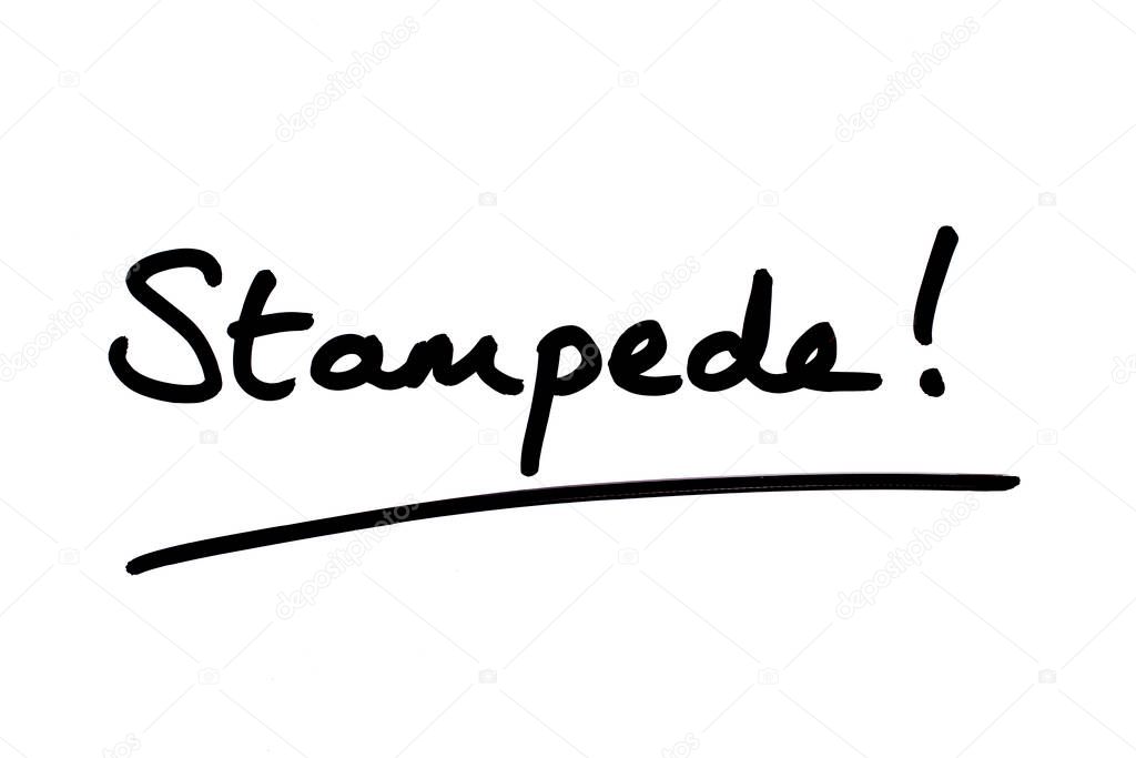 Stampede! handwritten on a white background.