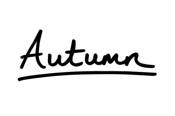 Herfst Handgeschreven Een Witte Achtergrond — Stockfoto