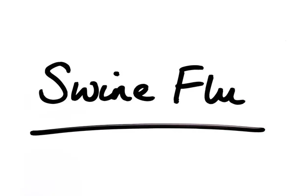 Gripe Porcina Escrita Mano Sobre Fondo Blanco —  Fotos de Stock