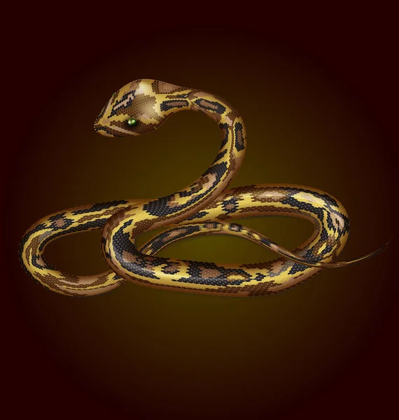 Serpiente — Vector de stock