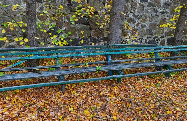 Régi pad a sárga levelek között — Stock Fotó