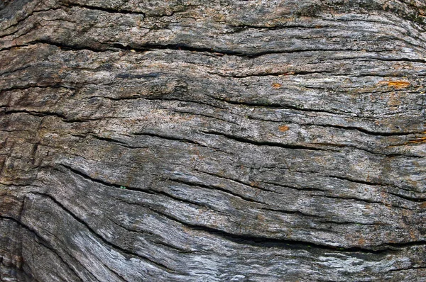 Текстура візерунка тріснув старий дерев'яний фон — стокове фото