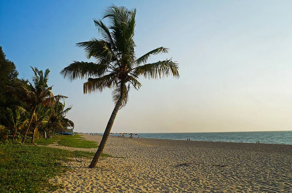 Sandy Marari Strand Buurt Van Stad Kochi Van Kerala India Stockafbeelding