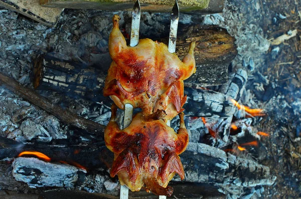 Cooking Quail Meat Firewood Fire Selective Focus — Stock Photo, Image