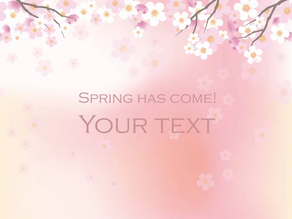 Une illustration vectorielle de fond avec des fleurs de cerisier en pleine floraison . — Image vectorielle