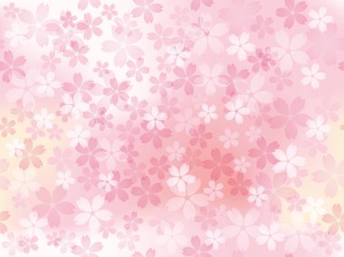 Bir vektör arka plan illüstrasyon tam Bloom kiraz çiçekleri ile.