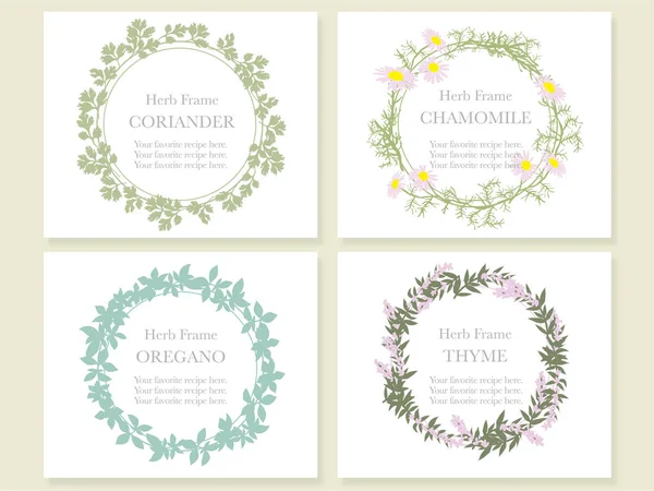 Un conjunto de cuatro marcos de ilustración vectorial de diversas hierbas: cilantro, manzanilla, orégano y tomillo . — Vector de stock