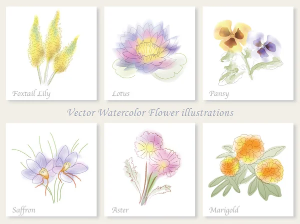 Egy sor hat vektor illusztrációk spontán akvarell stílusú virágok. — Stock Vector
