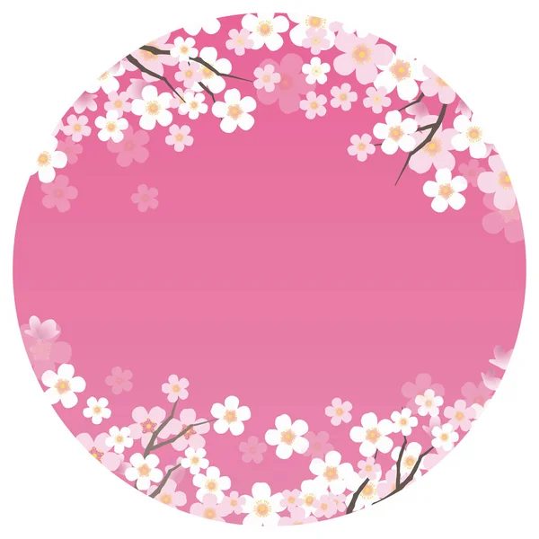 Ilustración Circular Fondo Vectorial Con Flores Cerezo Plena Floración Sin — Archivo Imágenes Vectoriales