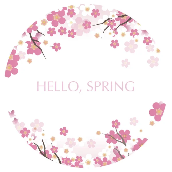 Circular Vector Background Illustration Cherry Blossoms Full Bloom — Stock Vector