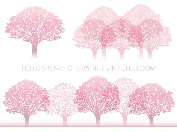 Ensemble Illustrations Vectorielles Cerisiers Pleine Floraison — Image vectorielle