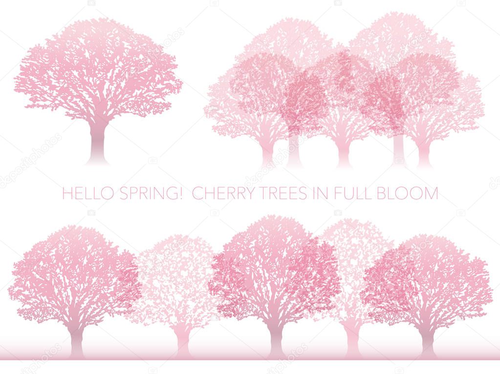 Set of vector cherry tree illustrations in full bloom.