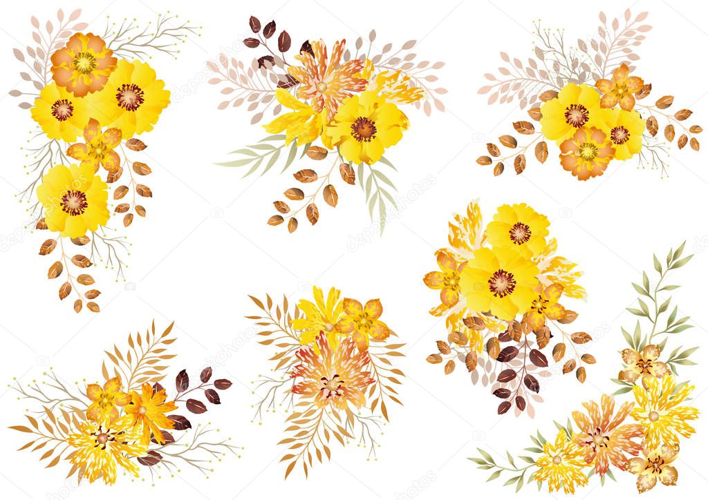 Set of watercolor floral elements isolated on a white background. 