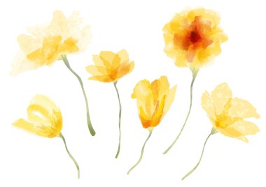 Beyaz arkaplanda izole edilmiş suluboya çiçek seti.