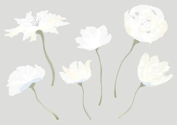 Ensemble de fleurs aquarelles isolées sur un fond gris . — Image vectorielle