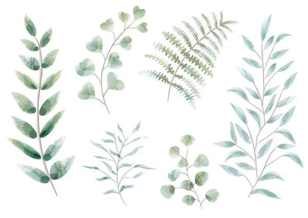 Set von Aquarell botanischen Elementen isoliert auf weißem Hintergrund. — Stockvektor