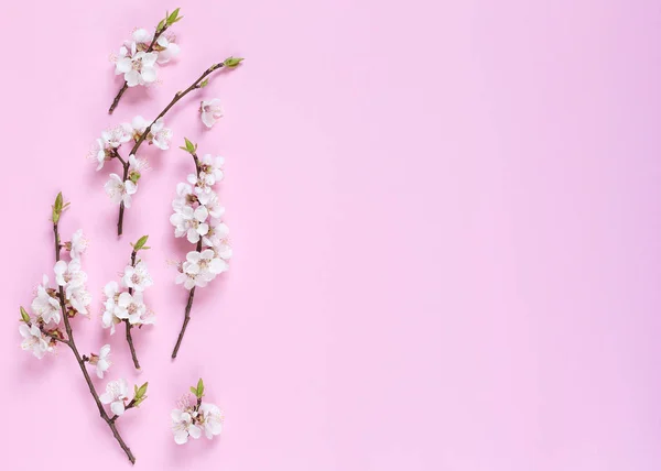 Padrão Feito Flores Brancas Primavera Fundo Rosa Composição Flores Vista — Fotografia de Stock