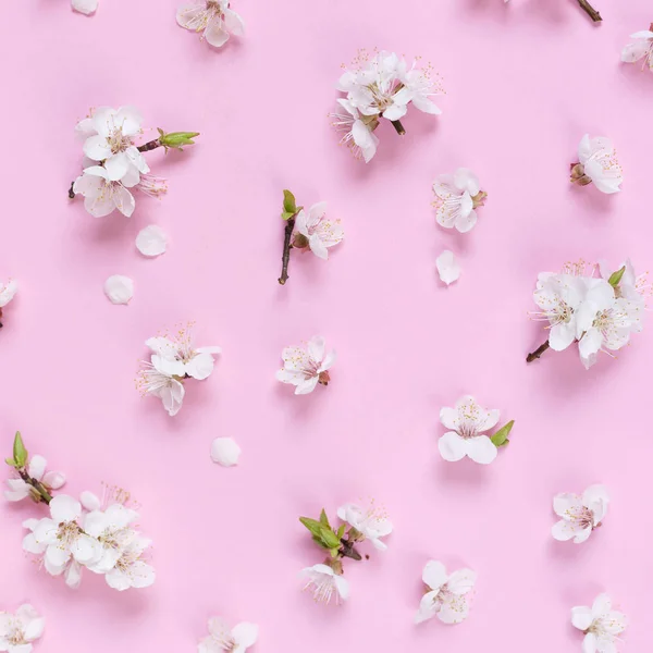 Patrón Hecho Flores Blancas Primavera Sobre Fondo Rosa Composición Flores — Foto de Stock